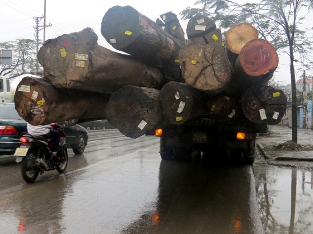 'Xe vua' cho go nghenh ngang tren quoc lo hinh anh