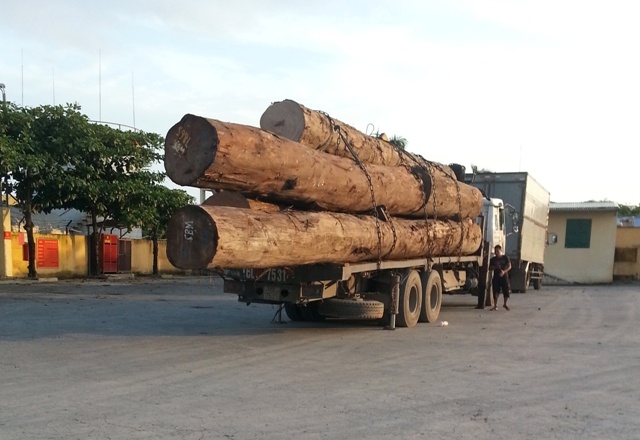 Và đây là chiếc xe bks: 16L-7531 đang đợi làm thủ tục xuất bến sau khi bốc cả “núi” gỗ lên xe tại Tân Cảng 128. Trong thời gian chờ đợi, lái xe buộc phải hạ các chân rết để chống bị xe bị bông đầu.