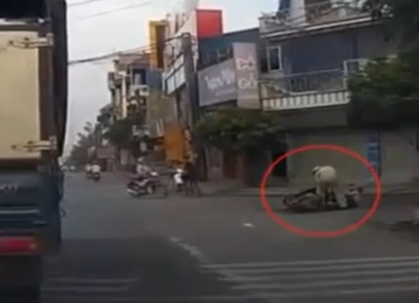 Tu dam vao duoi xe tai, lai xe may do duong hinh anh