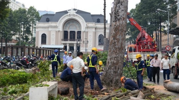 Dung cay don truoc Nha hat TP.HCM de trung tu chua hinh anh
