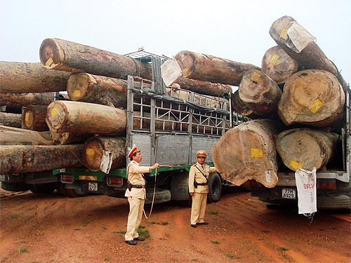 Bat giu 4 xe cho go khung tai Hoa Binh hinh anh