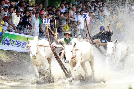 Soi dong Le hoi dua bo vong loai Bay Nui hinh anh