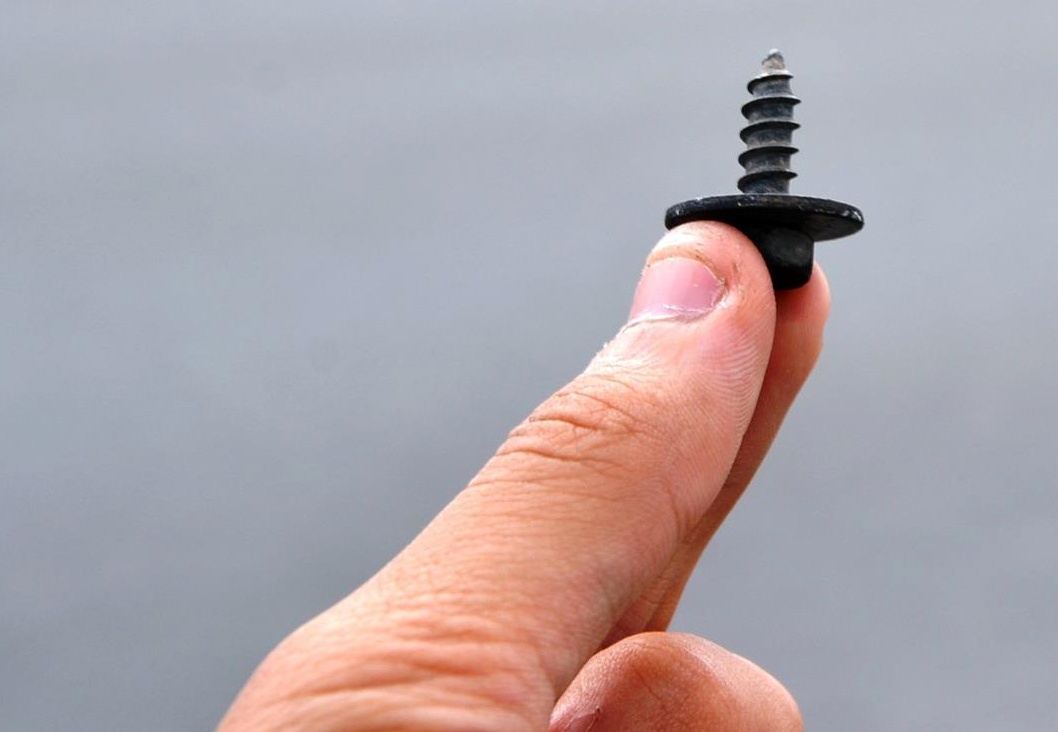 Oc vit nhon, dinh tren duong cao toc dai nhat VN hinh anh