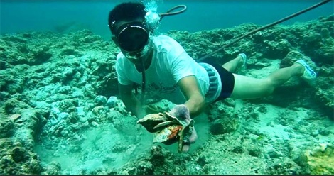 Các thợ lặn và chuyên gia khảo cổ đang tìm hiểu, khảo sát địa điểm nơi có dấu tích 2 con tàu cổ bị đắm.