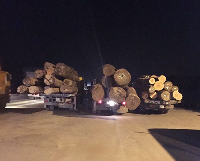 Vay bat xe tai cho go vuot 600% tai trong hinh anh