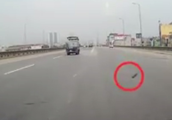 Khúc gỗ nằm ở khu vực