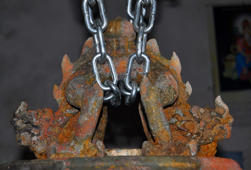 Chuong co khac voi chien, rong phuc bat ngo phat lo hinh anh