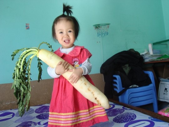 Cu cai dai hon nua met, nang 2,2 kg hinh anh