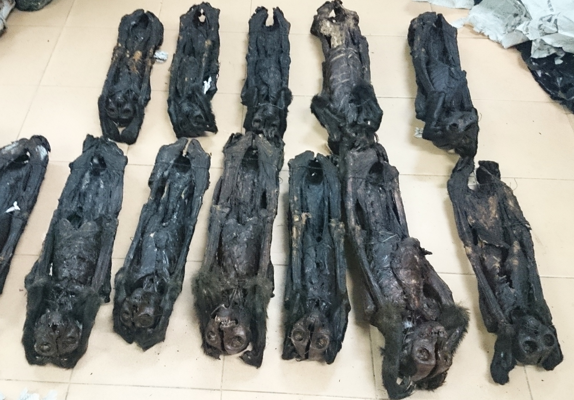 20 con linh truong kho boc mui nhet tren xe khach hinh anh