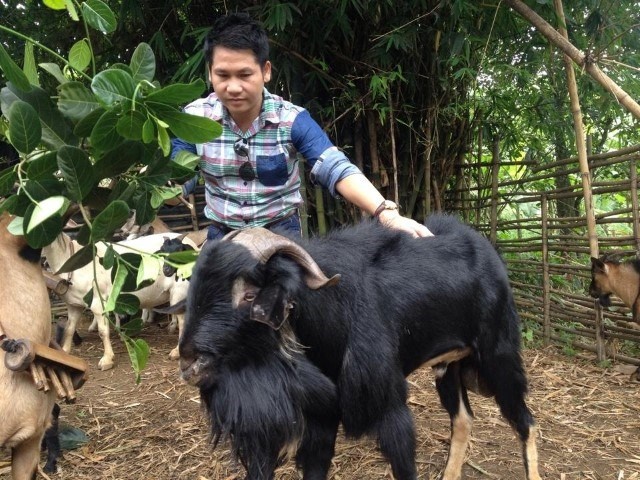 'Vua nhac do'... chan de hinh anh