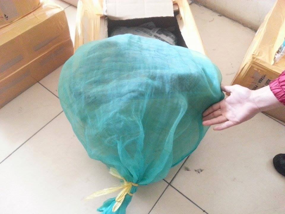 32 con ran ho mang chua tren xe khach hinh anh