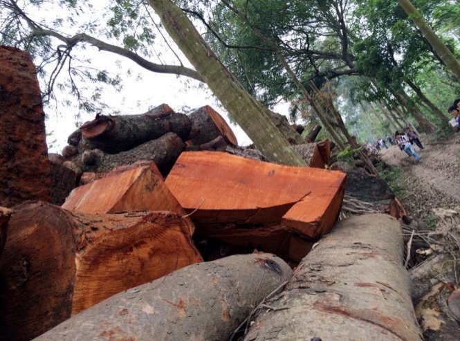 Chua can bo nao cua Ha Noi chiu ky luat sau vu 'chat cay' hinh anh