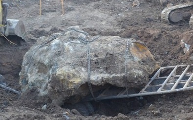 De xuat tich thu hon da gia hang ty dong hinh anh