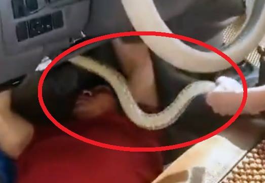 Tran dai hon 1 m nap duoi vo lang oto hinh anh