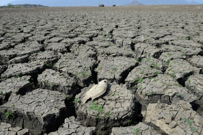 El Nino, bien doi khi hau khien nua Viet Nam thanh chao lua hinh anh