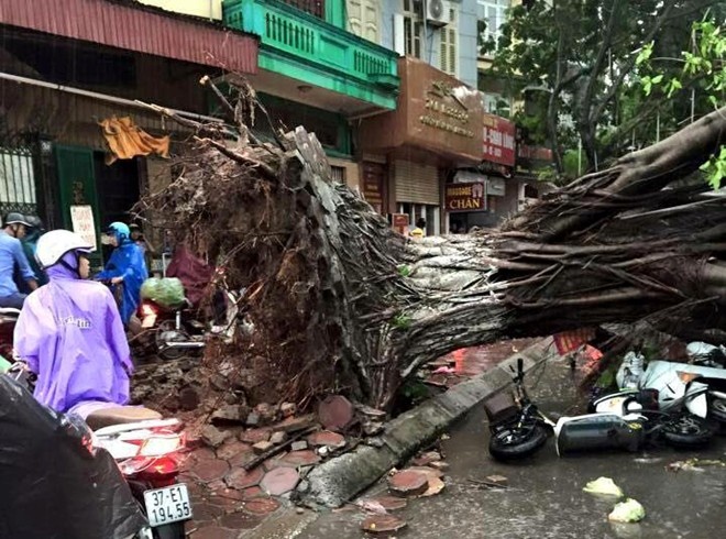 Phut cay do de chet hai nguoi trong mua dong hinh anh
