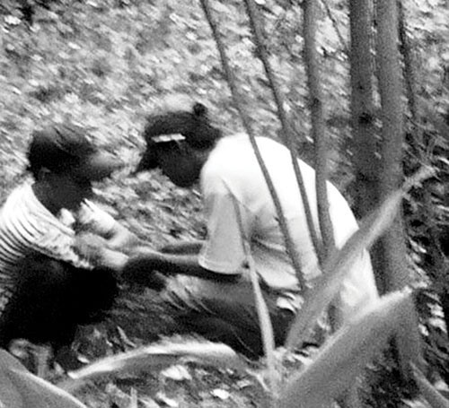 Lanh gay khi tai xe taxi choi ma tuy hinh anh