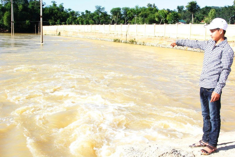 Giay phut cuu co giao giua dong lu cua HS lop 11 hinh anh