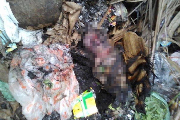 Me dot chay con vua lot long hinh anh