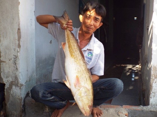 Cau duoc ca 'vang' cung kho hinh anh