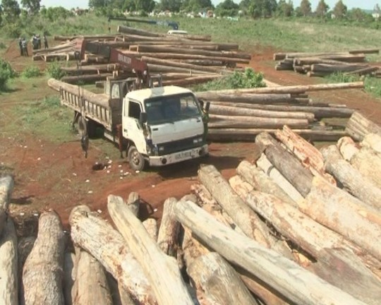 Go lau so so, kiem lam khong biet? hinh anh