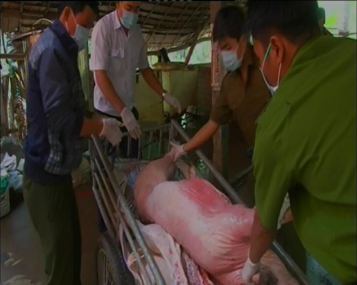 Bat qua tang co so giet mo heo boc mui hoi thoi hinh anh