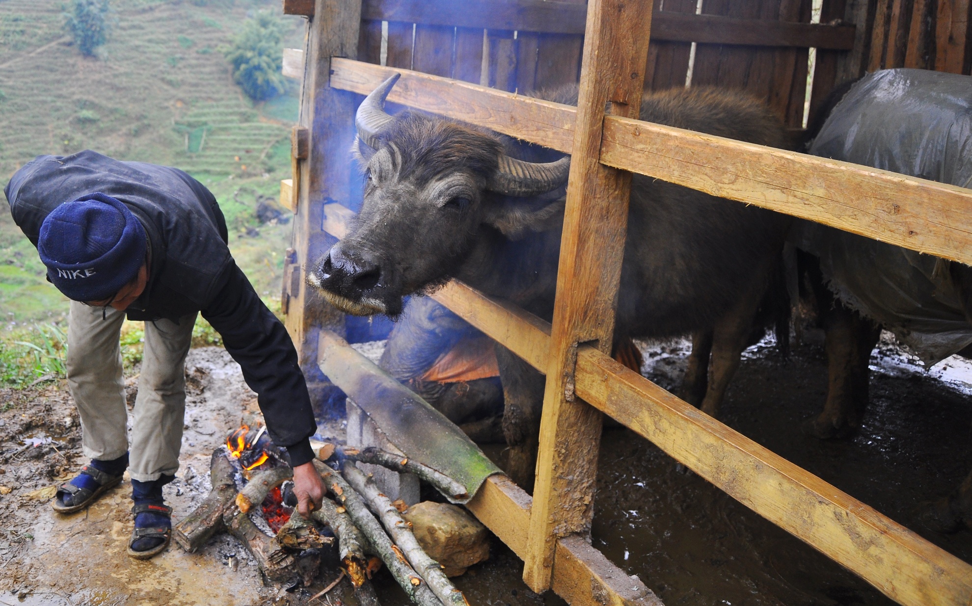 Hon 7.600 gia suc chet trong dot ret ky luc hinh anh