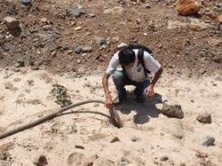 Kho bau Nui Tau lai nong hinh anh