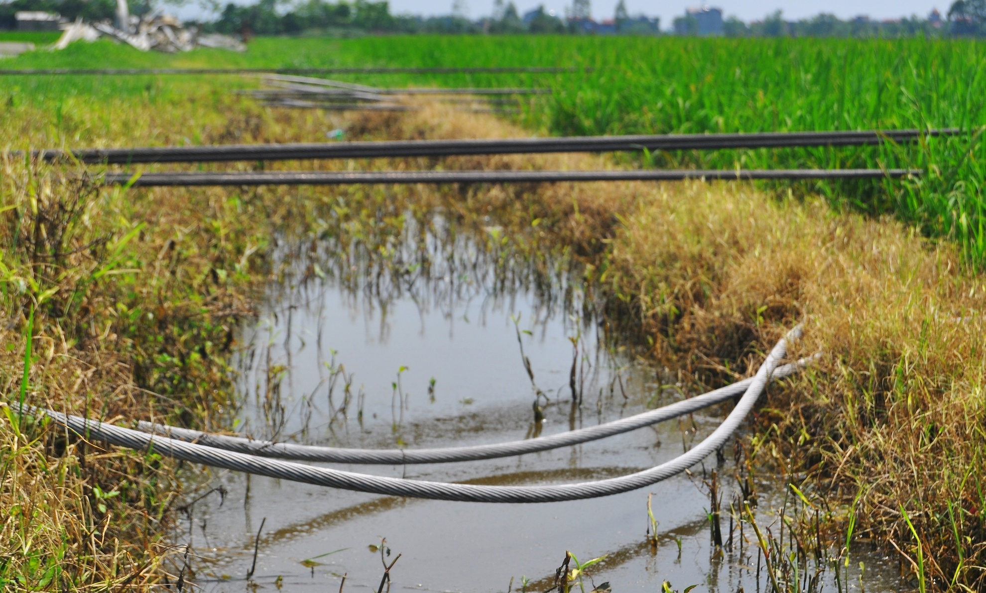Quat do cot dien cao the 500kV anh 14