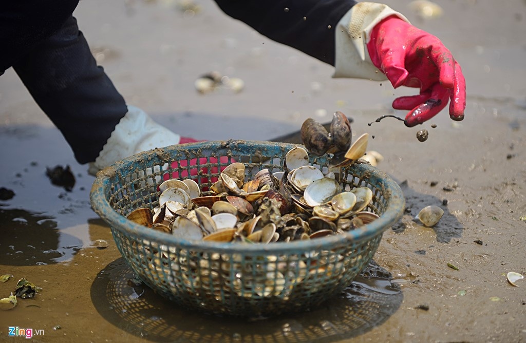 Cam kinh doanh hai san chet bat thuong anh 1