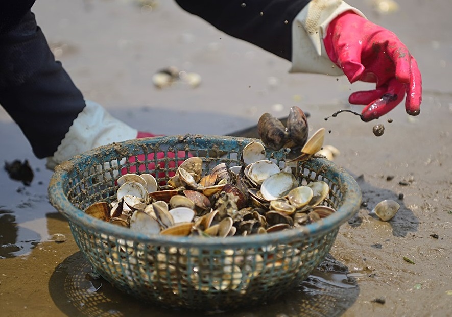 Nghiem cam su dung, kinh doanh hai san chet bat thuong hinh anh