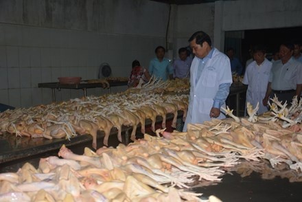 Chu tich Da Nang dot xuat kiem tra lo mo luc nua dem hinh anh