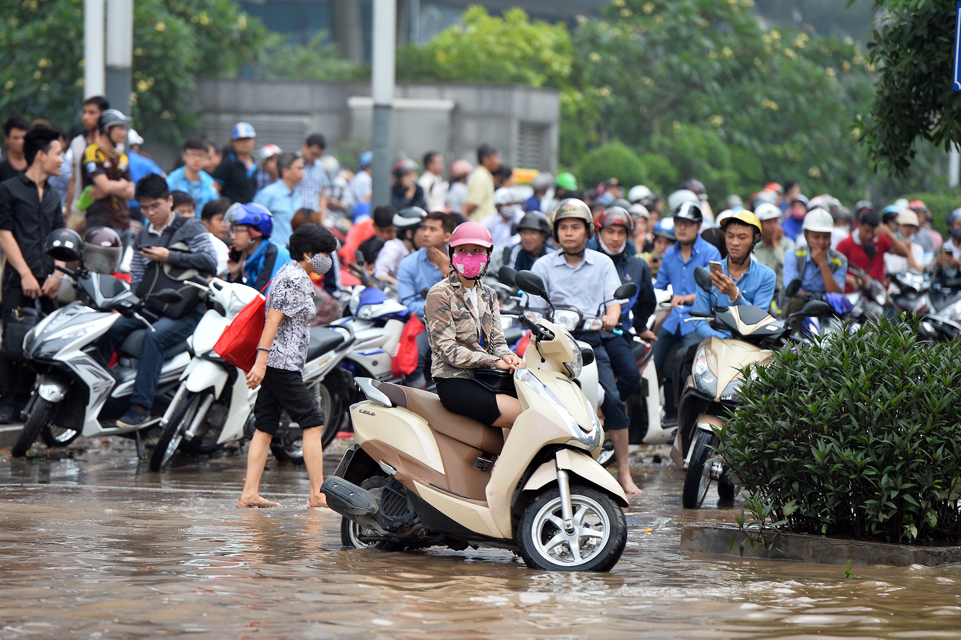 Ha Noi ngap sau anh 19