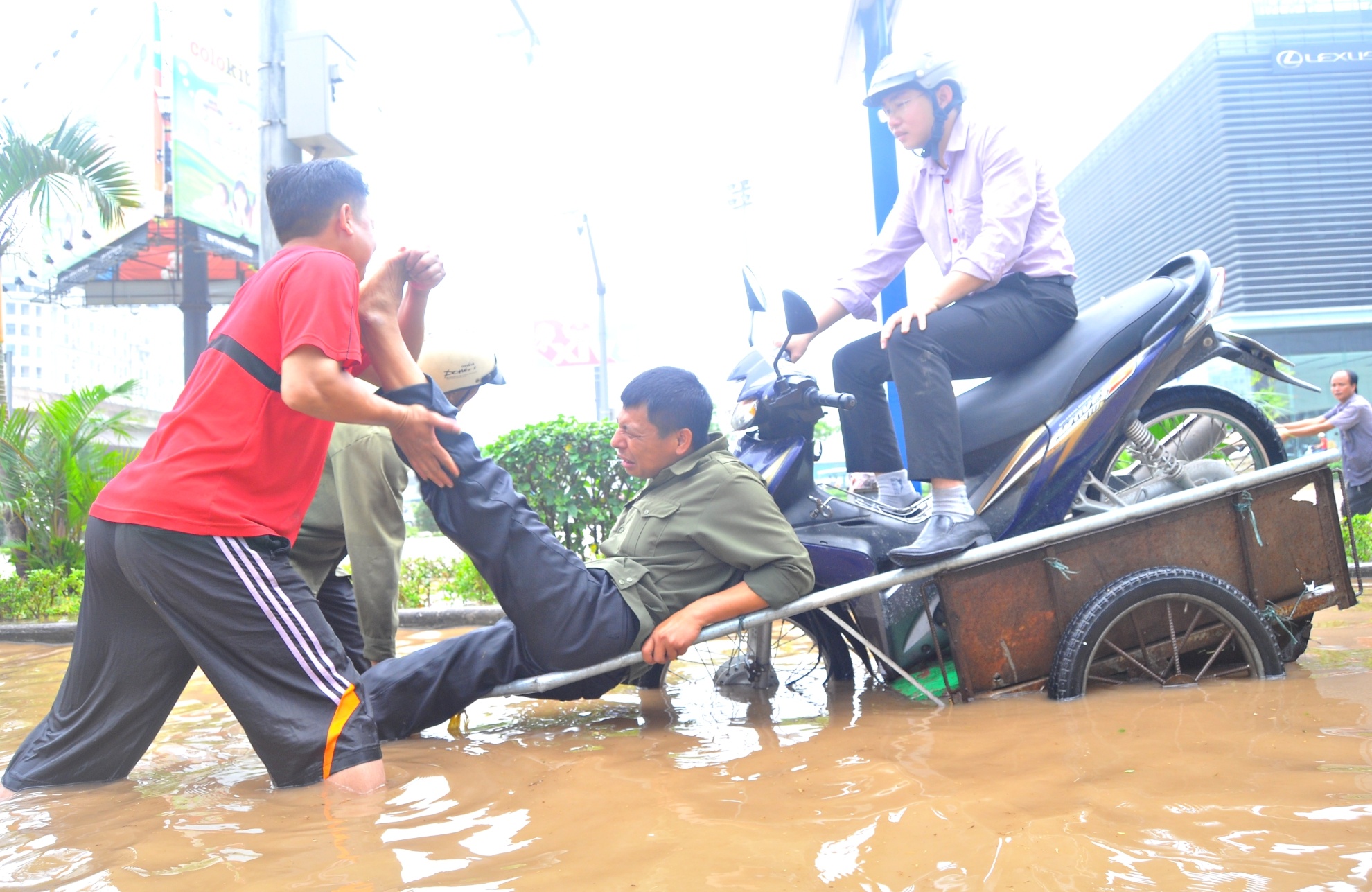 Ha Noi quy hoach bat cap, ngap lut con tai dien hinh anh