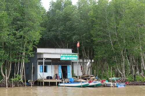 cảnh cáo 6 kiểm lâm đánh bạc ảnh 2 canh cao 6 kiem lam danh bac anh 2