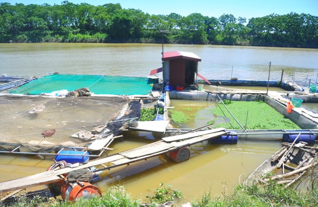 điện giật chết năm người ở Bắc Ninh ảnh 1 dien giat chet nam nguoi o Bac Ninh anh 1