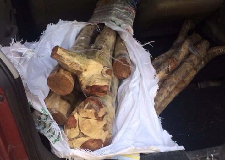 Gan 1 ta go sua khong ro nguon goc cho tren xe hop hinh anh