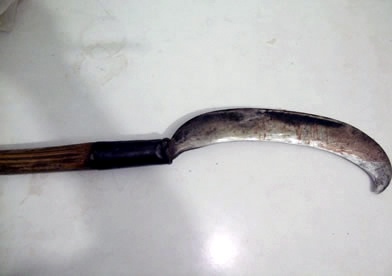 Bi nhac chuyen nhau, chau chem chu tu vong hinh anh