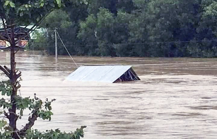 Phu Yen chim trong lu lich su anh 1
