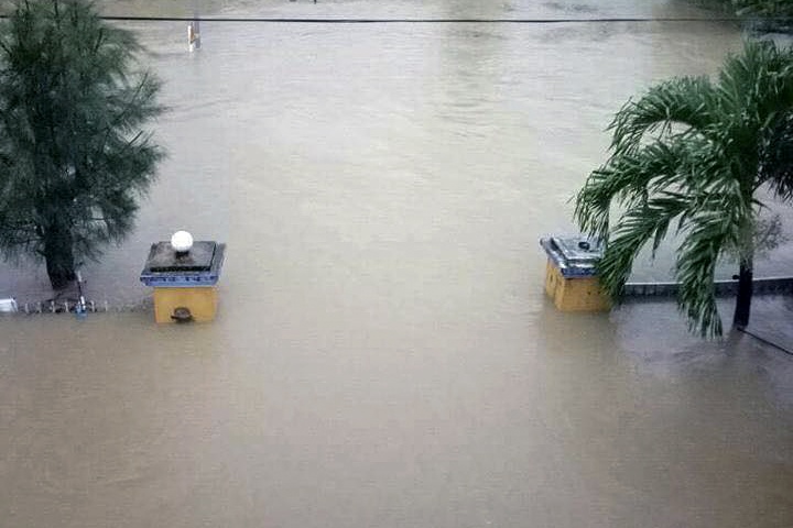 Phu Yen chim trong lu lich su anh 2