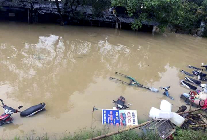 Phu Yen chim trong lu lich su anh 5