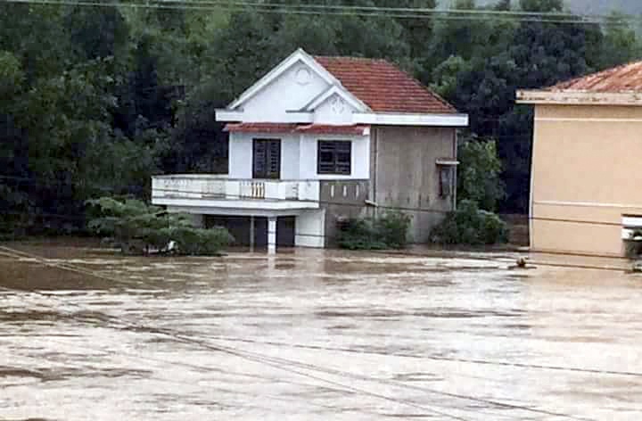 Phu Yen chim trong lu lich su anh 7