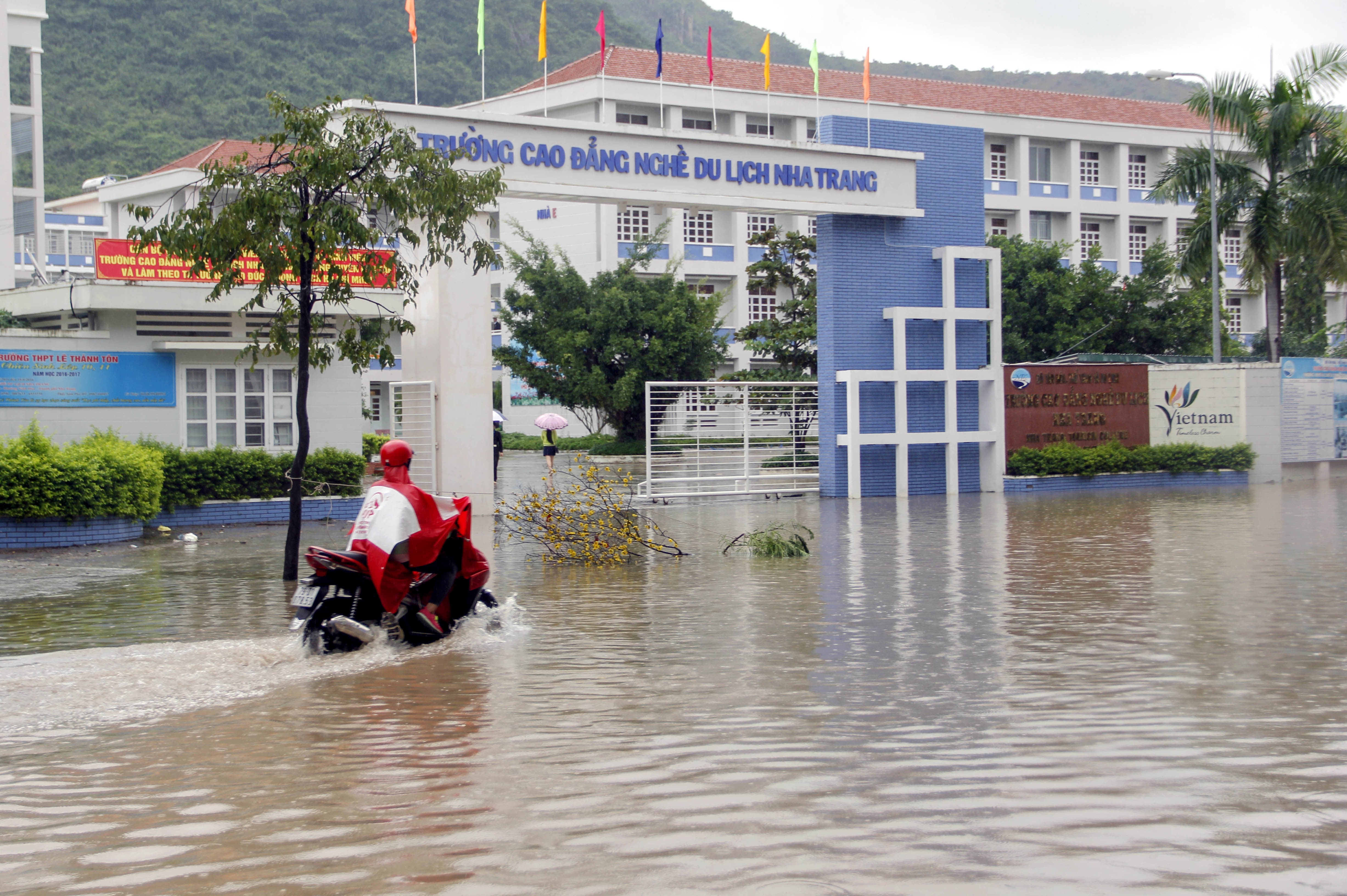 Dan bo chay vi thong tin vo dap anh 11