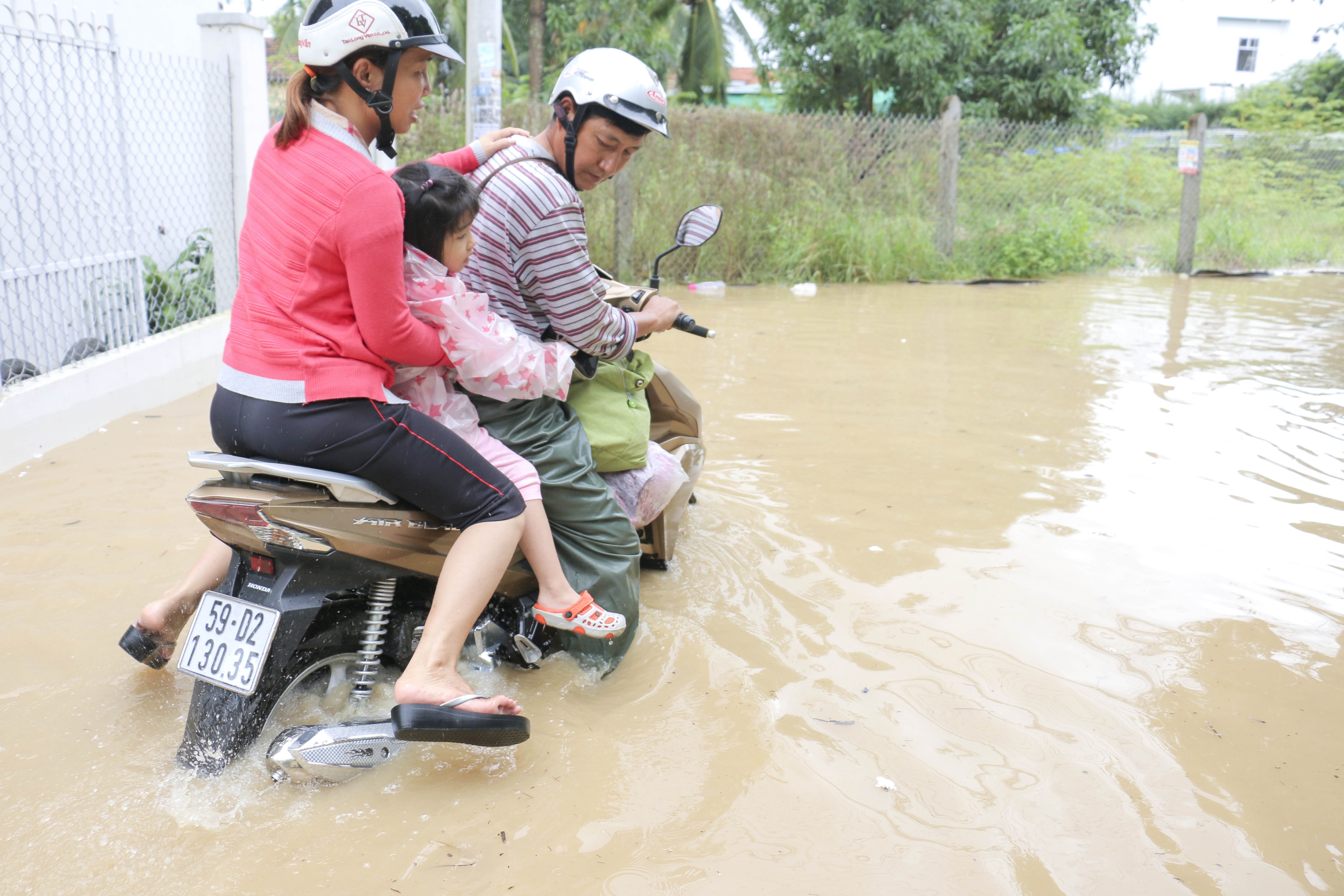 Dan bo chay vi thong tin vo dap anh 2