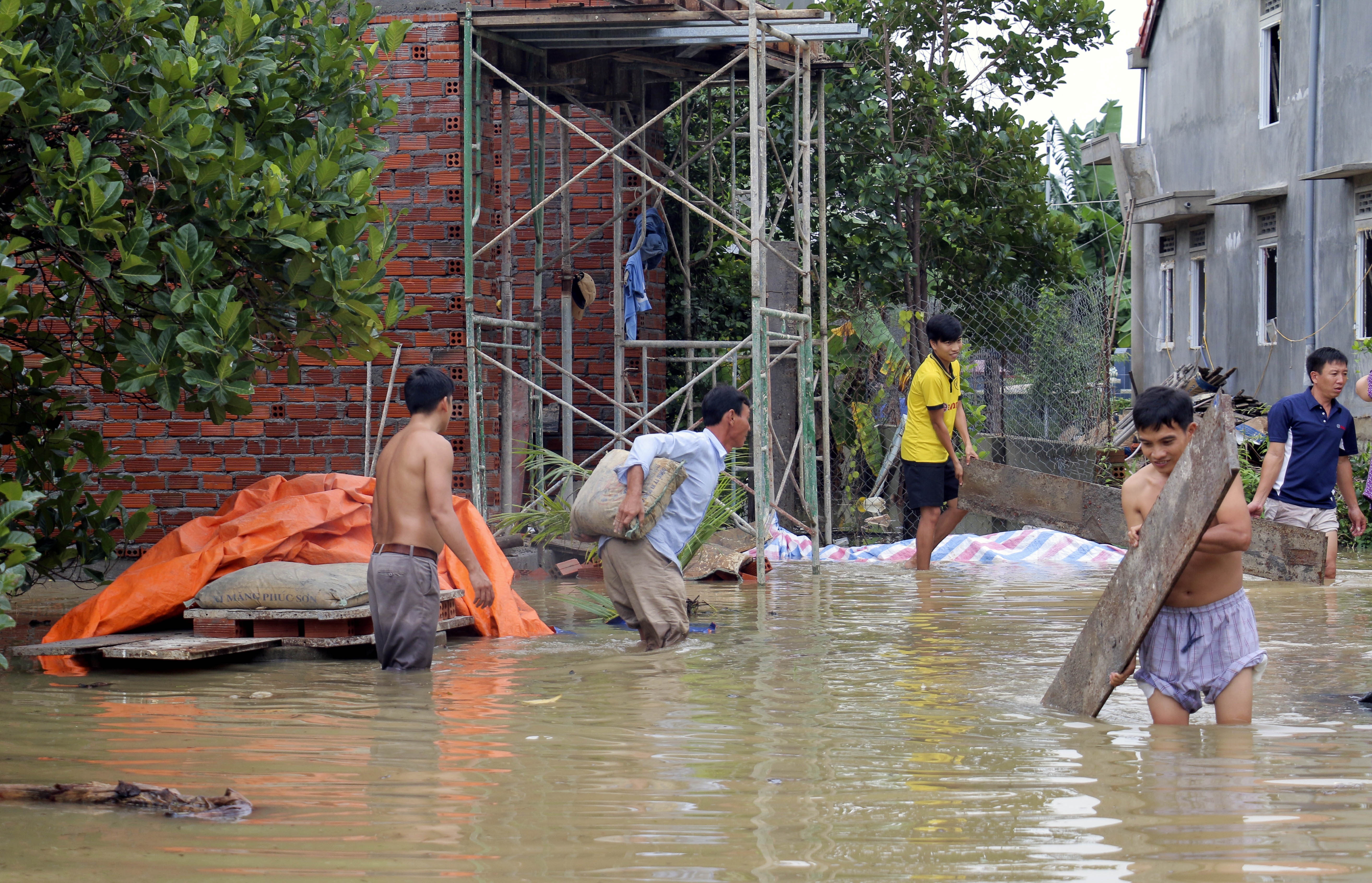 Dan bo chay vi thong tin vo dap anh 3