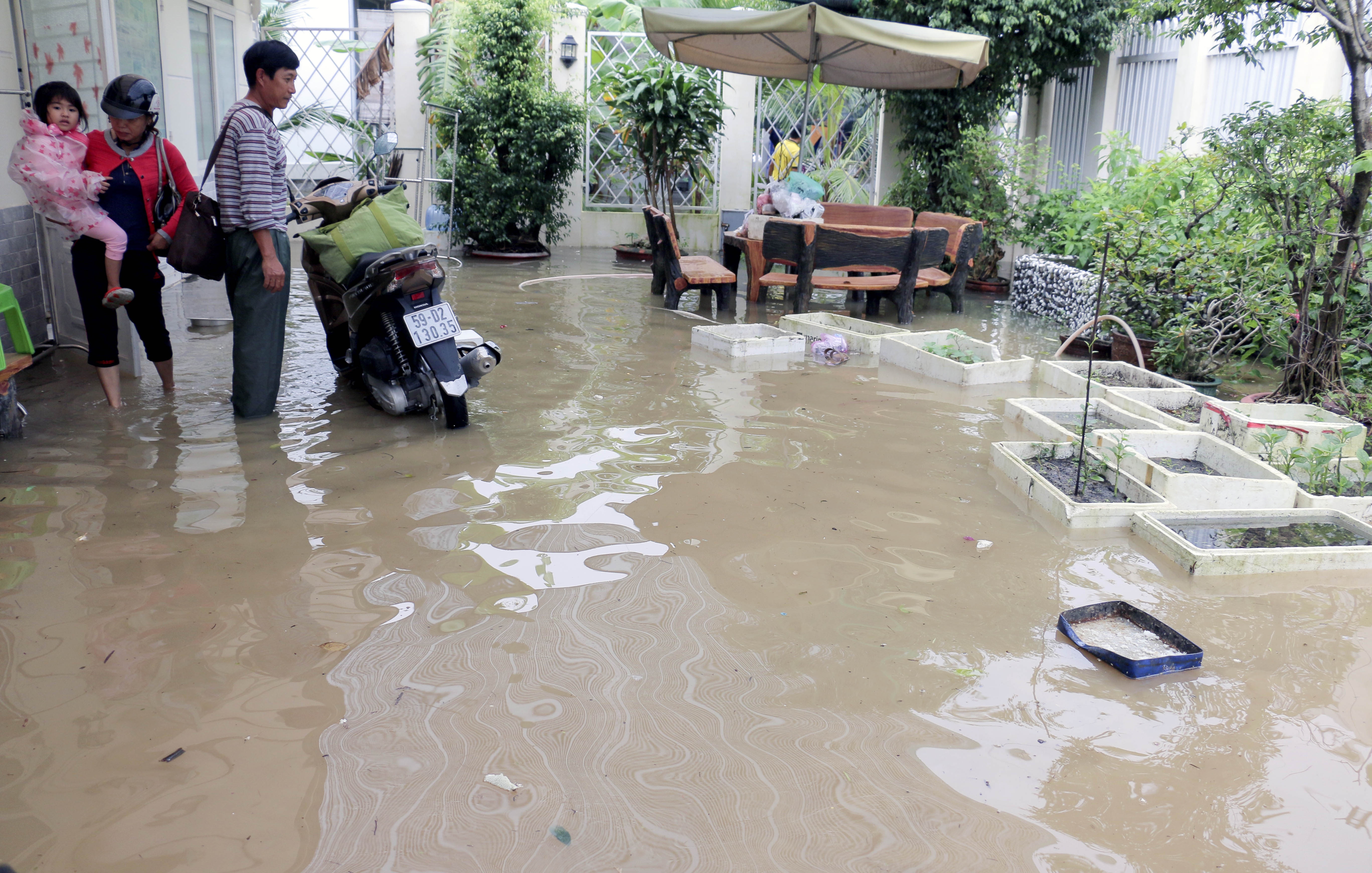 Dan bo chay vi thong tin vo dap anh 5