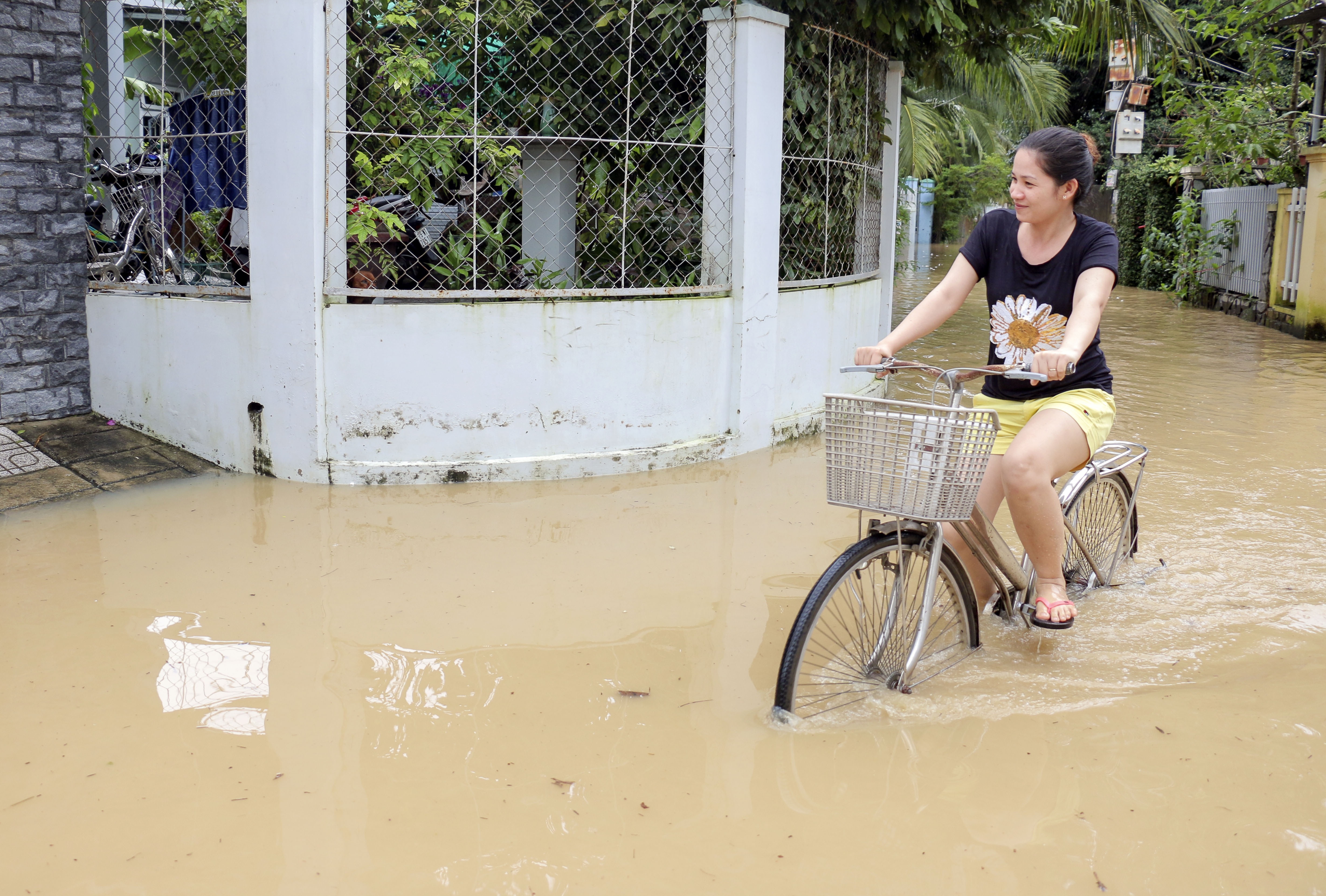 Dan bo chay vi thong tin vo dap anh 7