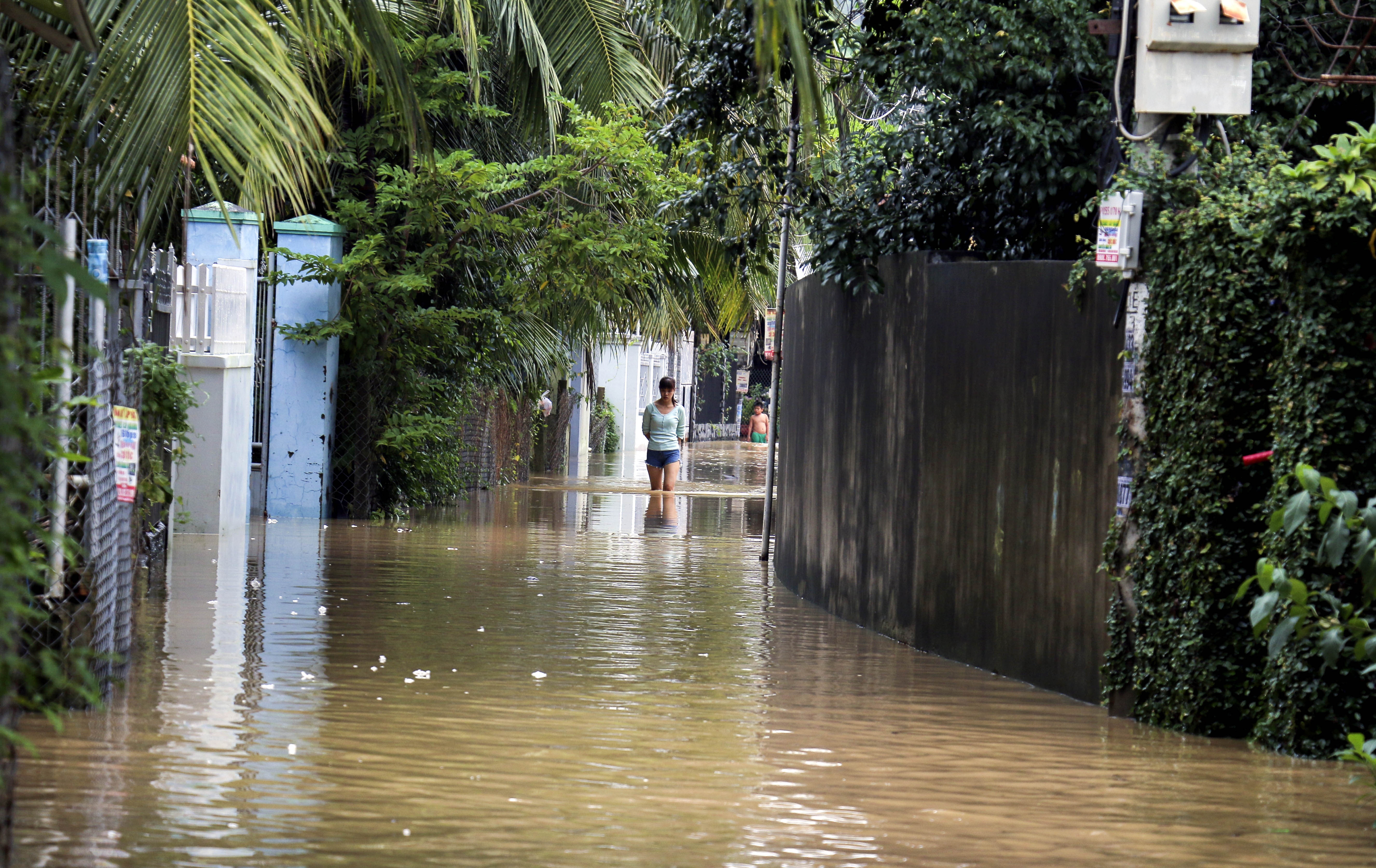 Dan bo chay vi thong tin vo dap anh 8
