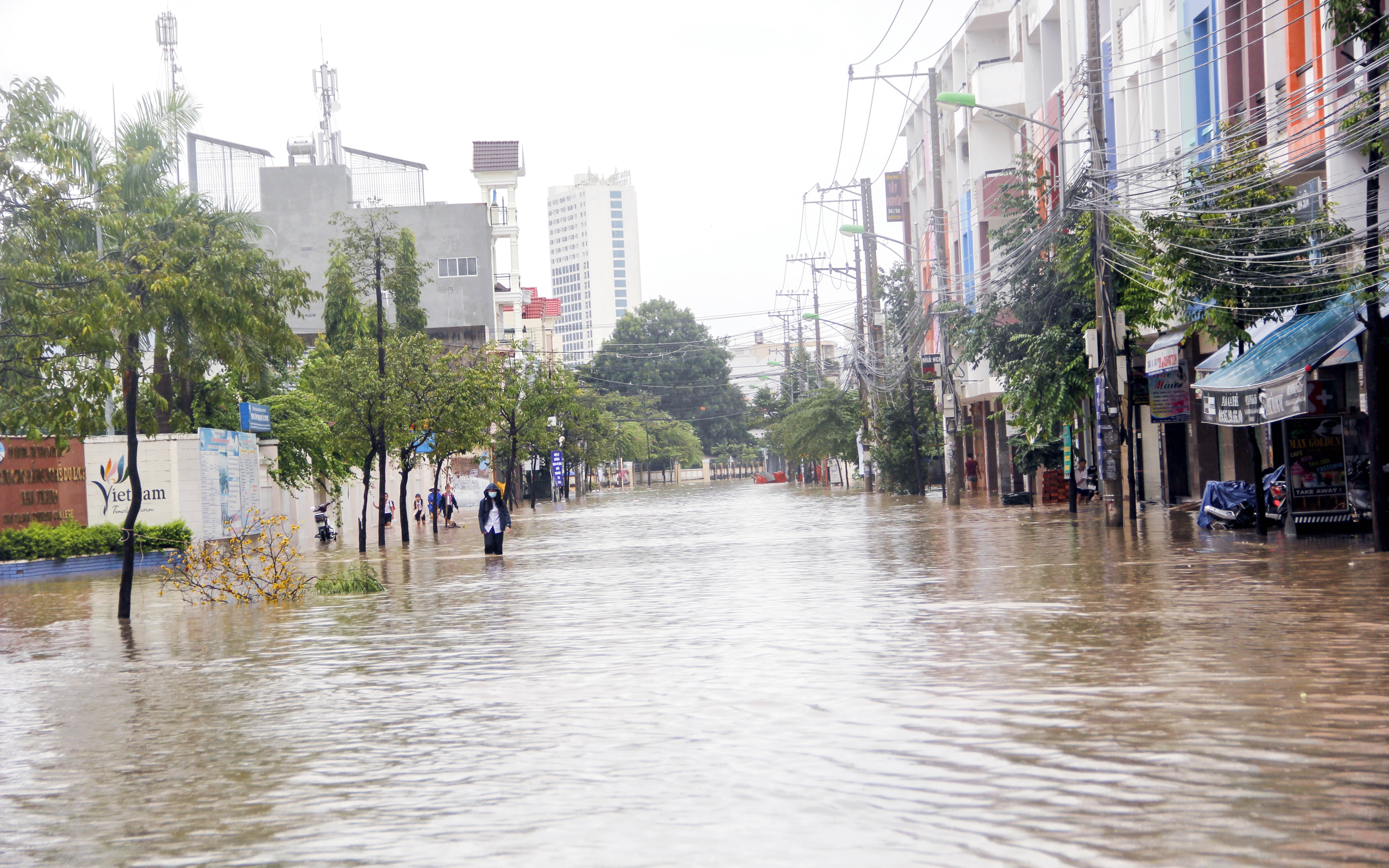 Dan bo chay vi thong tin vo dap anh 9