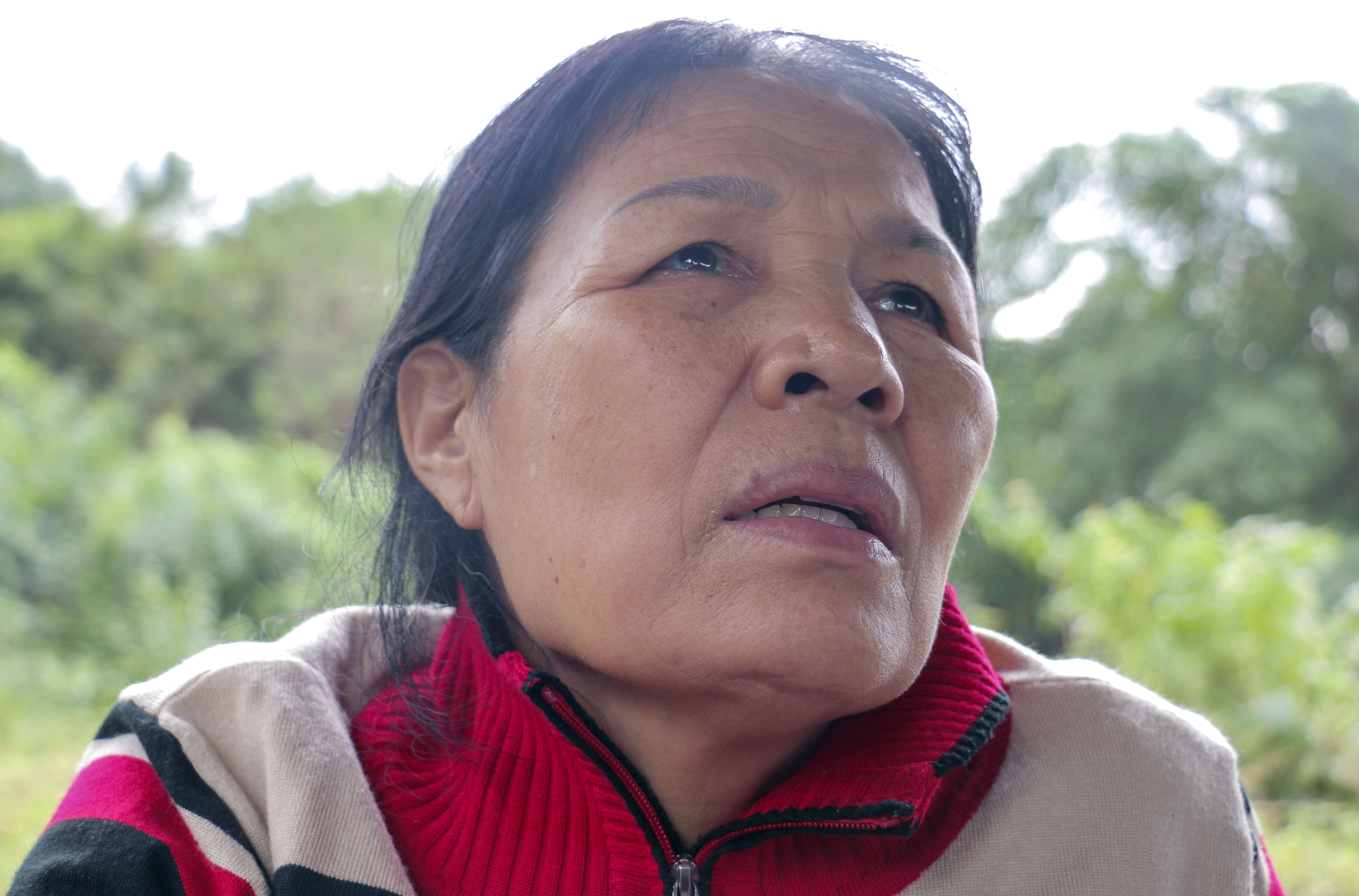 Lo nui o Nha Trang: 'Ai cuu em toi, chau toi voi' hinh anh